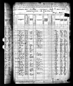 1880 United States Federal Census_Arkansas Polk County White Township