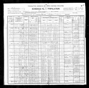 1900UnitedStatesFederalCensus Arkansas Howard County Sulphur Springs Township page 16 Allen and Sarah Brock Duckett